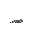 Lizard